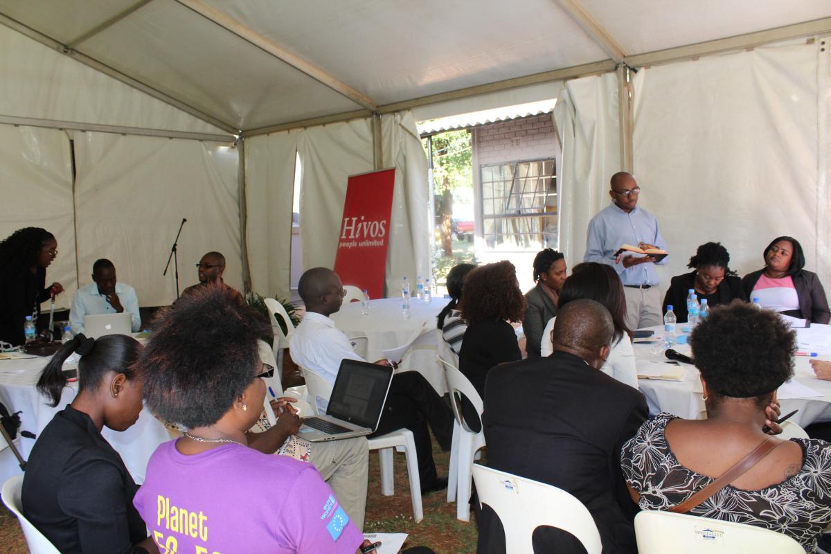 Hivos Southern Africa Conducts MFS Reflection Event