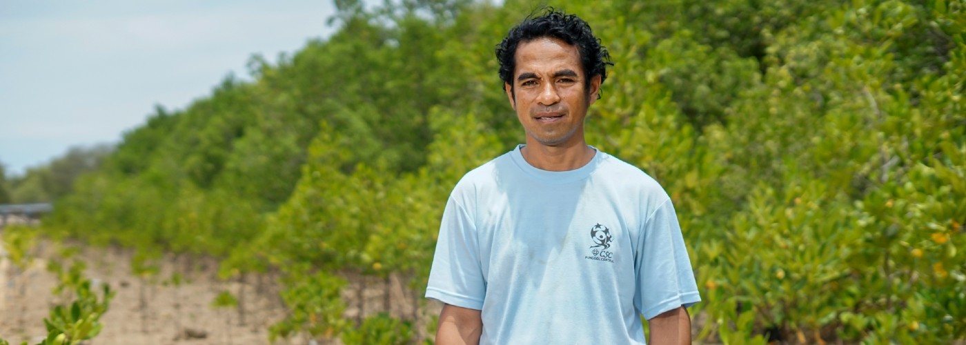 Restoring mangroves to protect homes and livelihoods