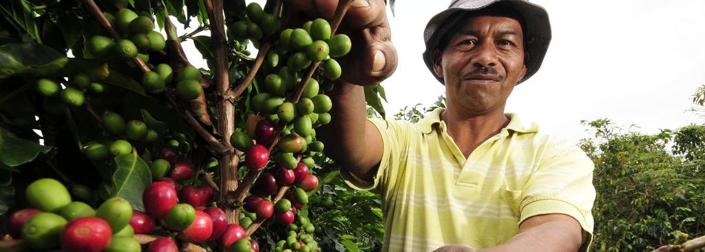New 2020 Coffee Barometer: Coffee companies must start proving their sustainability impact