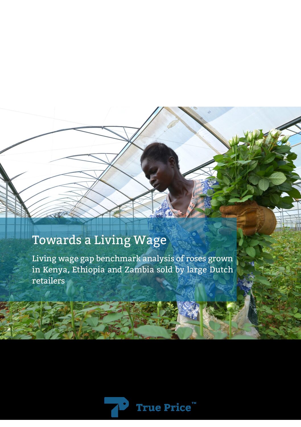 Towards a Living Wage